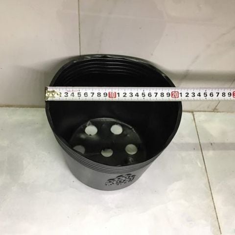 Chậu nhựa trồng cây (túi bầu ươm cây) mềm màu đen - Chậu nhựa PP chịu lực tốt, chịu ẩm, nhiệt cao, bền