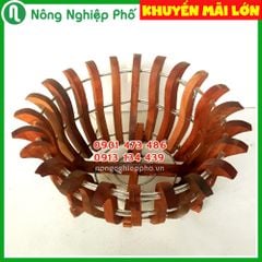 Chậu gỗ trồng lan cao cấp - Hình lọng