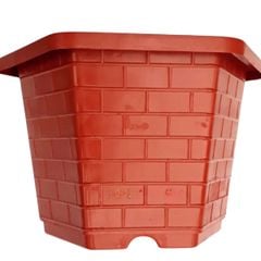 Chậu nhựa trồng cây lục giác – Chất liệu nhựa bền chắc, có lỗ thoát nước, trồng kiểng, bonsai