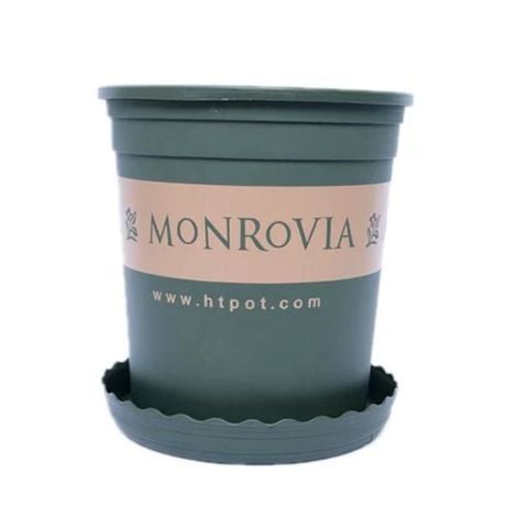 Chậu Monrovia – Chậu trồng cây nhựa dày, thoáng khí, thoát nước tối ưu trồng hoa hồng, hoa kiểng bền đẹp