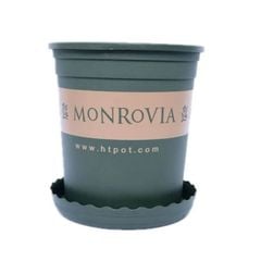 Chậu Monrovia – Chậu trồng cây nhựa dày, thoáng khí, thoát nước tối ưu trồng hoa hồng, hoa kiểng bền đẹp