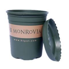 Chậu Monrovia – Chậu trồng cây nhựa dày, thoáng khí, thoát nước tối ưu trồng hoa hồng, hoa kiểng bền đẹp