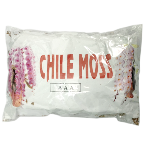 Dớn mềm chile moss trồng lan - Gói 100 gram