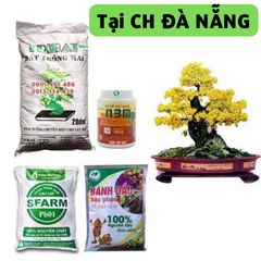 Combo Chăm sóc và phục hồi cây mai sau Tết - gói Basic - Tại CH Đà Nẵng