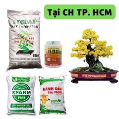 Combo Chăm sóc và phục hồi cây mai sau Tết - gói Basic -  Tại CH TP. HCM