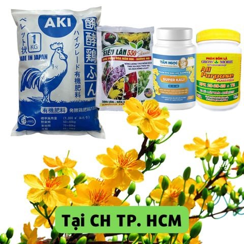 Combo chăm sóc mai trước Tết - Tại CH TP. HCM