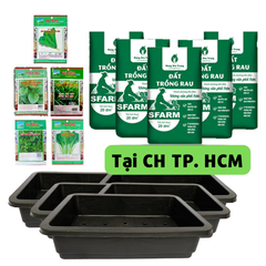 Combo trồng rau ăn lá tiện lợi cho người mới bắt đầu (Basic) - Tại CH TP. HCM