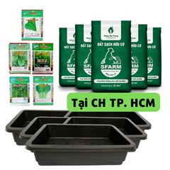 Combo trồng rau ăn lá tiện lợi cho người mới bắt đầu - Gói basic - Tại CH TP. HCM