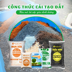 Combo cải tạo đất tơi xốp, giàu dinh dưỡng - Tại CH Hà Nội