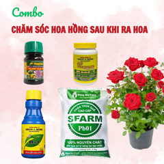 Combo chăm sóc hoa hồng sau khi ra hoa - Tại CH Hà Nội