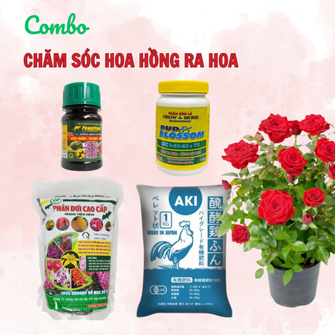 Combo chăm sóc hoa hồng ra hoa - Tại CH Đà Nẵng