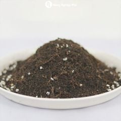 Đất trồng hoa kiểng SFARM chuyên dùng cho hoa và cây kiểng bonsai (Bao 20dm3 ~ 8-9kg)