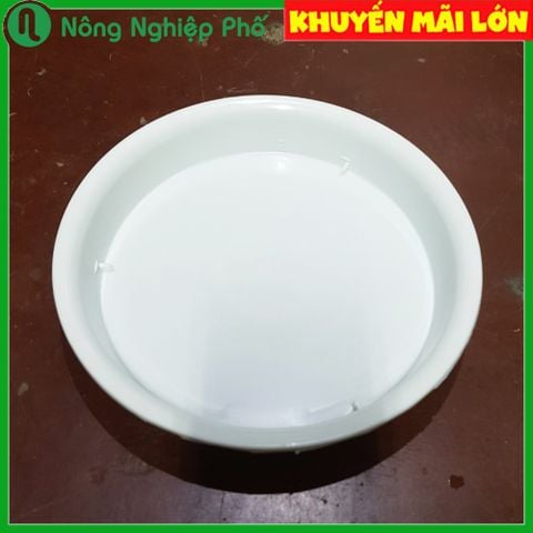 Đĩa (Đế) lót chậu hình tròn trồng cây (HN)