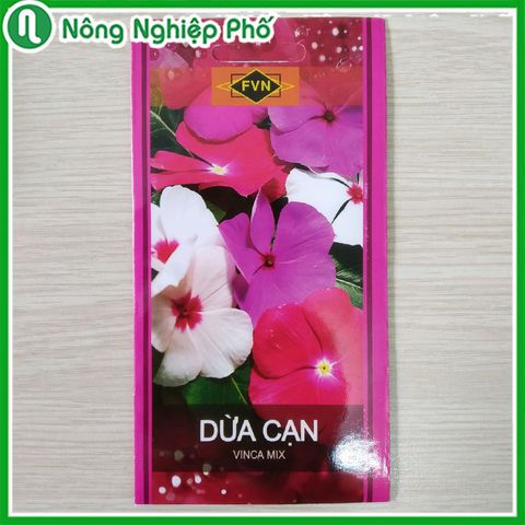 Hạt giống hoa Dừa Cạn Đứng FVN - Gói 15 hạt