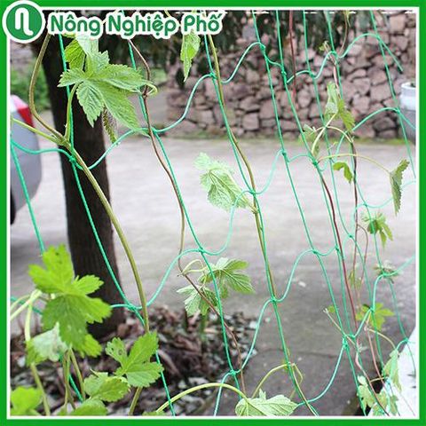 ​​​​​​​Lưới làm giàn leo nhập khẩu Đài Loan màu xanh (10x10cm) - Độ bền cao, dễ sử dụng