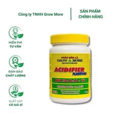 Phân bón lá Growmore Soil Acidifier 30-10-10+TE (100g) – Đẻ nhánh khỏe, xanh lá, tăng sức đề kháng cho cây trồng