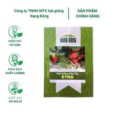 Hạt giống Dâu tây ETNA - Gói 0.05 gram