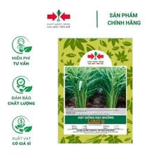 Hạt giống Rau muống Liao 9 East-West Seed (Hai Mũi Tên Đỏ) - Gói 100gr