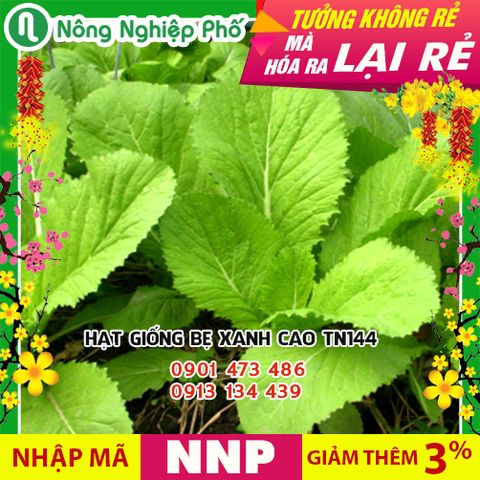 Hạt giống Cải bẹ xanh cao cây TN 144 - Gói 20 gram