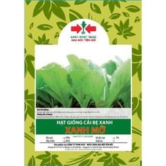 Hạt giống Cải bẹ xanh mỡ East-West Seed (Hai Mũi Tên Đỏ) - Gói 20gr