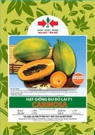 Hạt giống Đu đủ ruột vàng Carinosa East-West Seed (Hai Mũi Tên Đỏ) - Gói 4 hạt