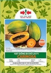 Hạt giống Đu đủ ruột vàng Carinosa East-West Seed (Hai Mũi Tên Đỏ) - Gói 4 hạt