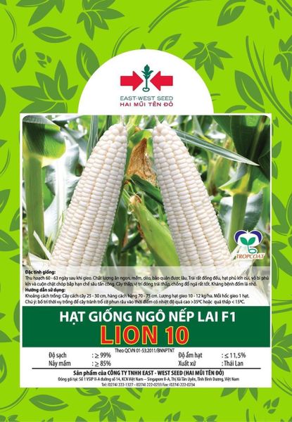 - Hạt giống Ngô nếp lai F1 Lion 10 East-West Seed (Hai Mũi Tên Đỏ)