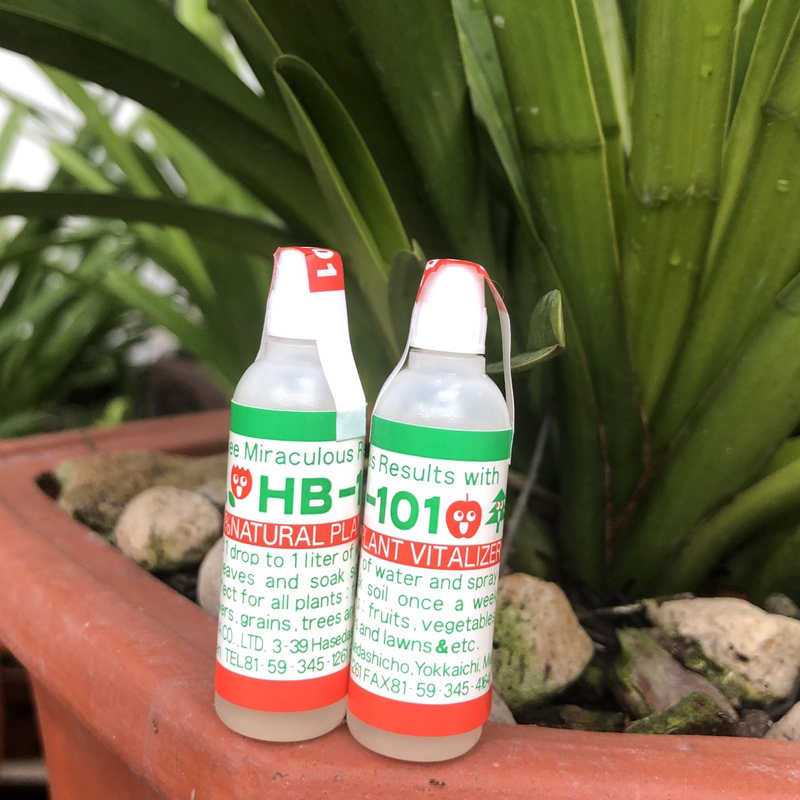 Chất tăng cường sinh trưởng thực vật HB-101 dùng cho cây cảnh bonsai -
