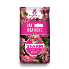 Combo chăm sóc hoa hồng mới bắt đầu - Tại CH Hà Nội