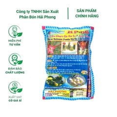 Phân bón chuyên dùng cho hoa sứ và xương rồng HP-06 - Gói 200 gram
