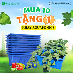 Chậu (Khay) Aquaponics chuyên trồng rau củ quả, cây ăn trái - Loại 1