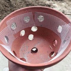 - Lưới dính lót chậu lan, chậu cây cảnh