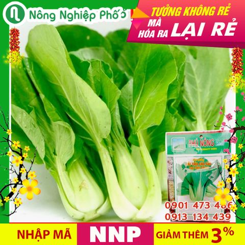 Hạt giống cải thìa PN - Gói 20 gram