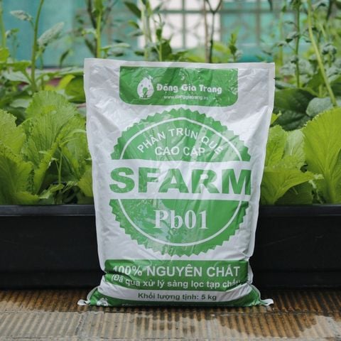 Phân trùn quế cao cấp Sfarm đã qua xử lý - Chuyên bón cho rau sạch, kiểng lá và hoa hồng
