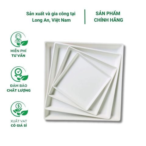 Đĩa lót chậu trồng cây hình vuông