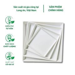 Đĩa lót chậu trồng cây hình vuông