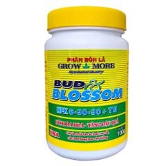 Phân bón lá Growmore Bud Blossom 6-30-30+TE Kích thích hoa, kích nụ hoa mai, hoa lan.