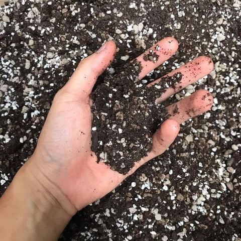 Giá thể Soil mix trồng cây xương rồng, sen đá trộn sẵn - Túi 15dm3 ( ~ 6kg )