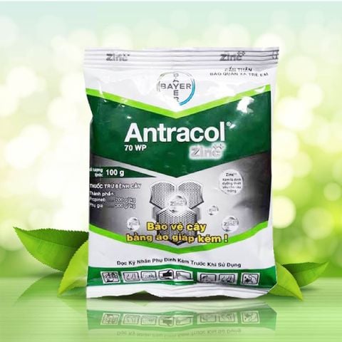 Thuốc trừ nấm bệnh cây trồng ANTRACOL 70WP