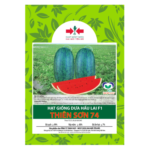 Hạt giống Dưa hấu ruột đỏ lai F1 Thiên Sơn 74 East-West Seed (Hai Mũi Tên Đỏ)