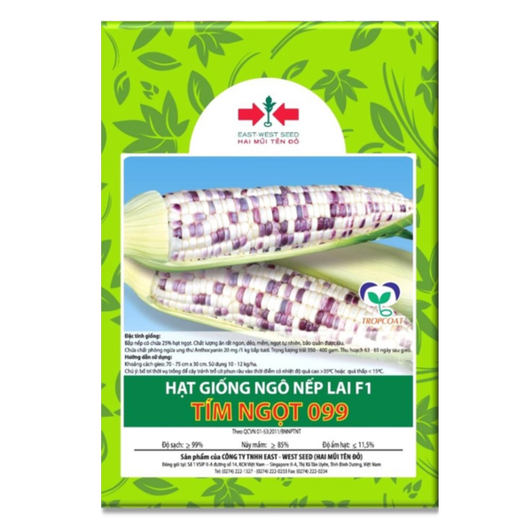 Hạt giống Ngô nếp lai F1 tím ngọt 099 East-West Seed (Hai Mũi Tên Đỏ) - Gói 70 hạt