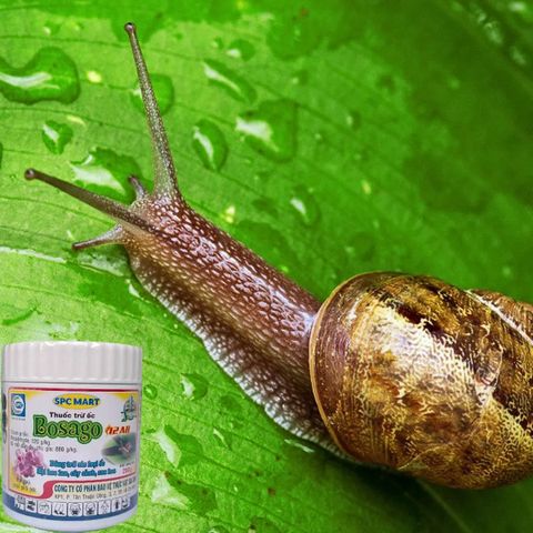 Thuốc trừ ốc Bosago 12AB - Hộp 200 gram