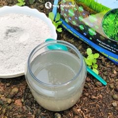 Chế phẩm Trichoderma Plus SFARM (1kg) – Nấm đối kháng, cải tạo đất hiệu quả