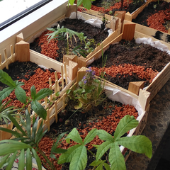 Giá thể cho cây trồng chậu SERAMIS - Túi 6 lít