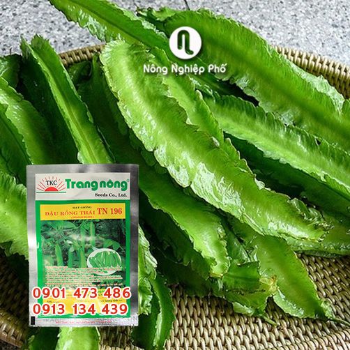 Hạt Giống Đậu Rồng Thái TN 196 - Gói 20 gram