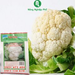 - Hạt giống Cải Bông Trắng ( Súp Lơ ) PN 900 - Gói 0.3 gram