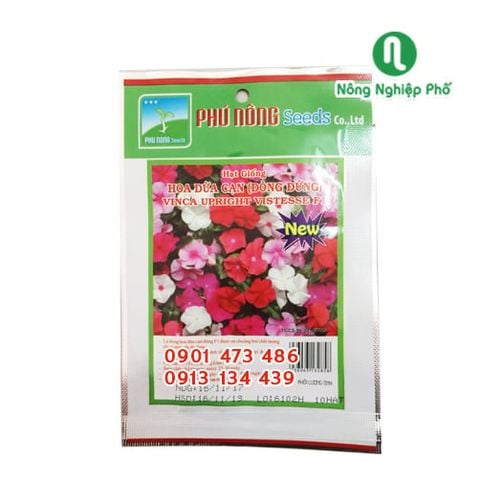 Hạt giống hoa Dừa cạn (dòng đứng) PN - Gói 10 hạt