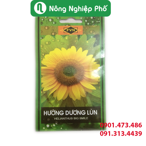 Hạt giống hoa Hướng Dương Lùn FVN - Gói 15 hạt