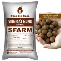 Viên đất nung SFARM - Giá thể trồng rau mầm, hoa kiểng và hệ thống Aquaponics