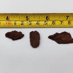 Vỏ thông trồng lan đã qua xử lý KT 1-3cm - 1kg